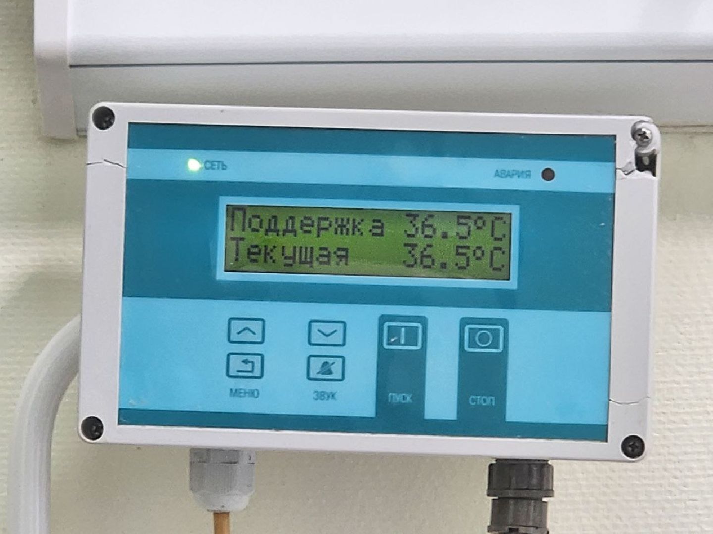 дети; двойня; рождение; многодетная семья; сюрприз