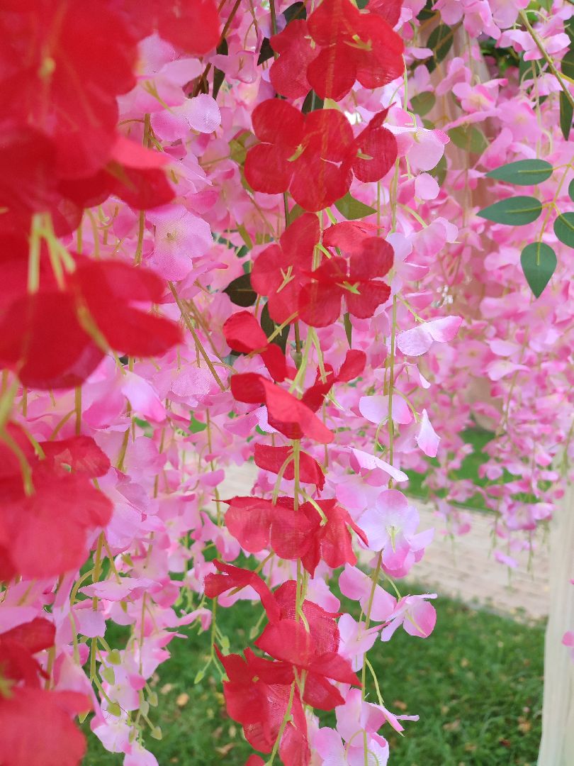 #бобриныйфест, #талдомскийокруг, #солнечныйберег, #дети, #экология