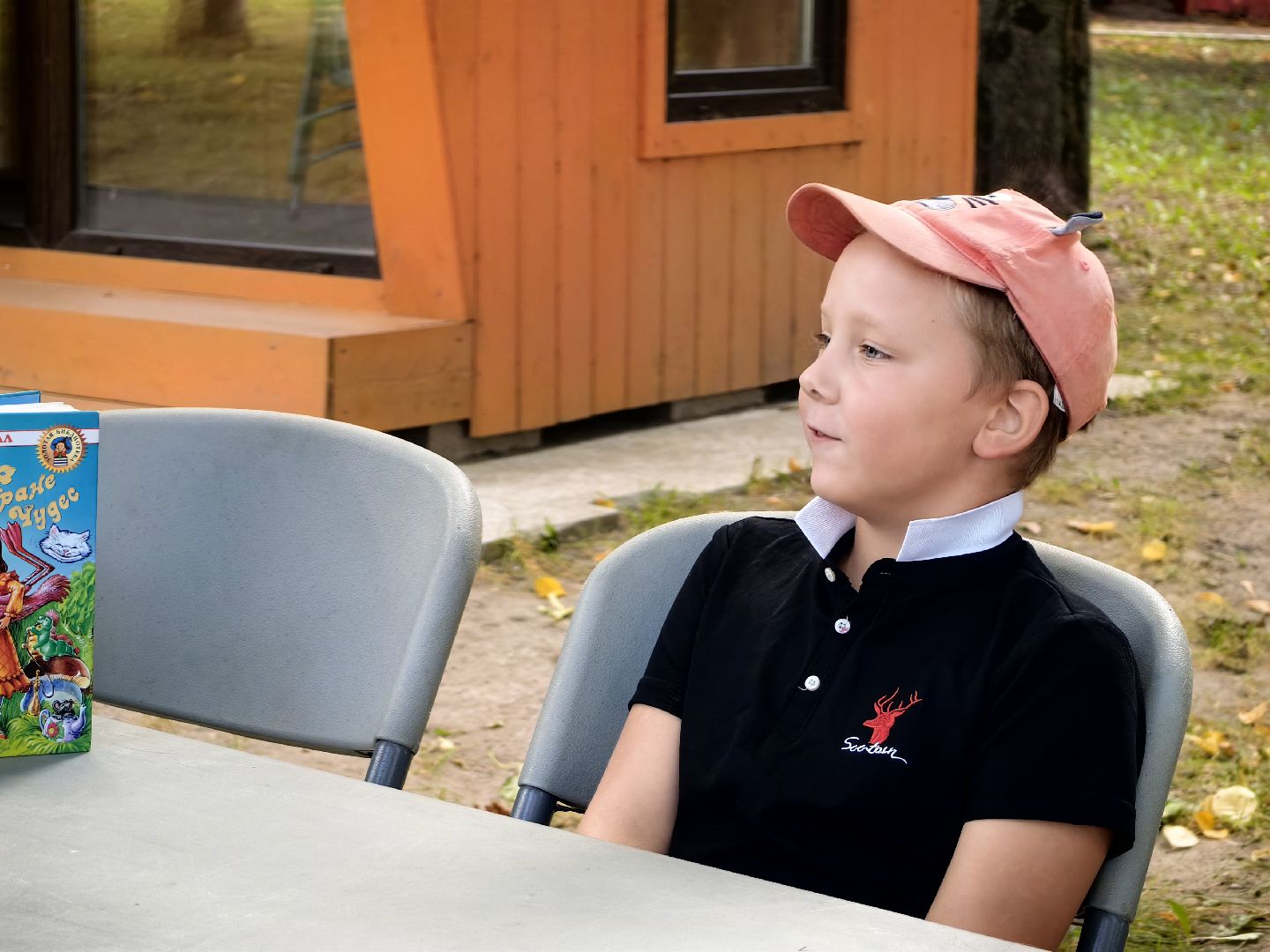 Лекторий, парк, писатель, книги, Щелково, Заходер