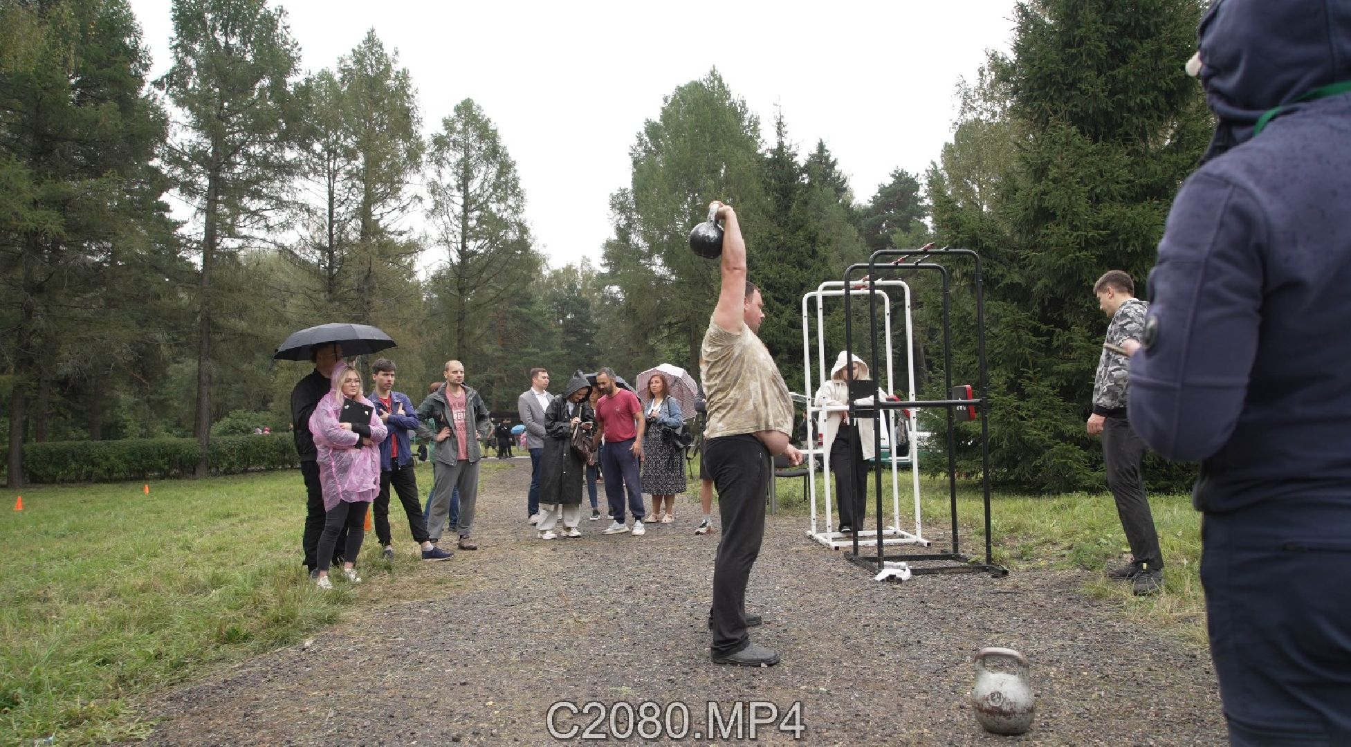 аэропраздник, аэропорт Домодедово