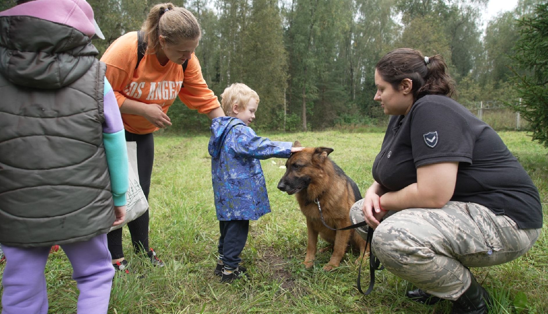 служебные собаки, аэропорт Домодедово
