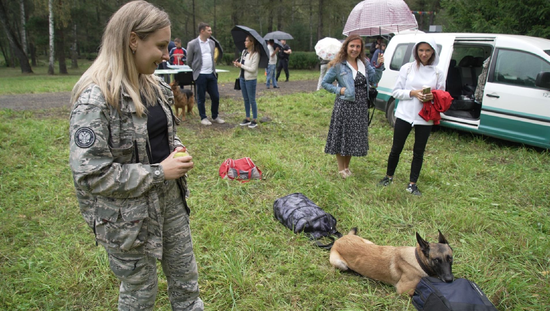 служебные собаки, аэропорт Домодедово