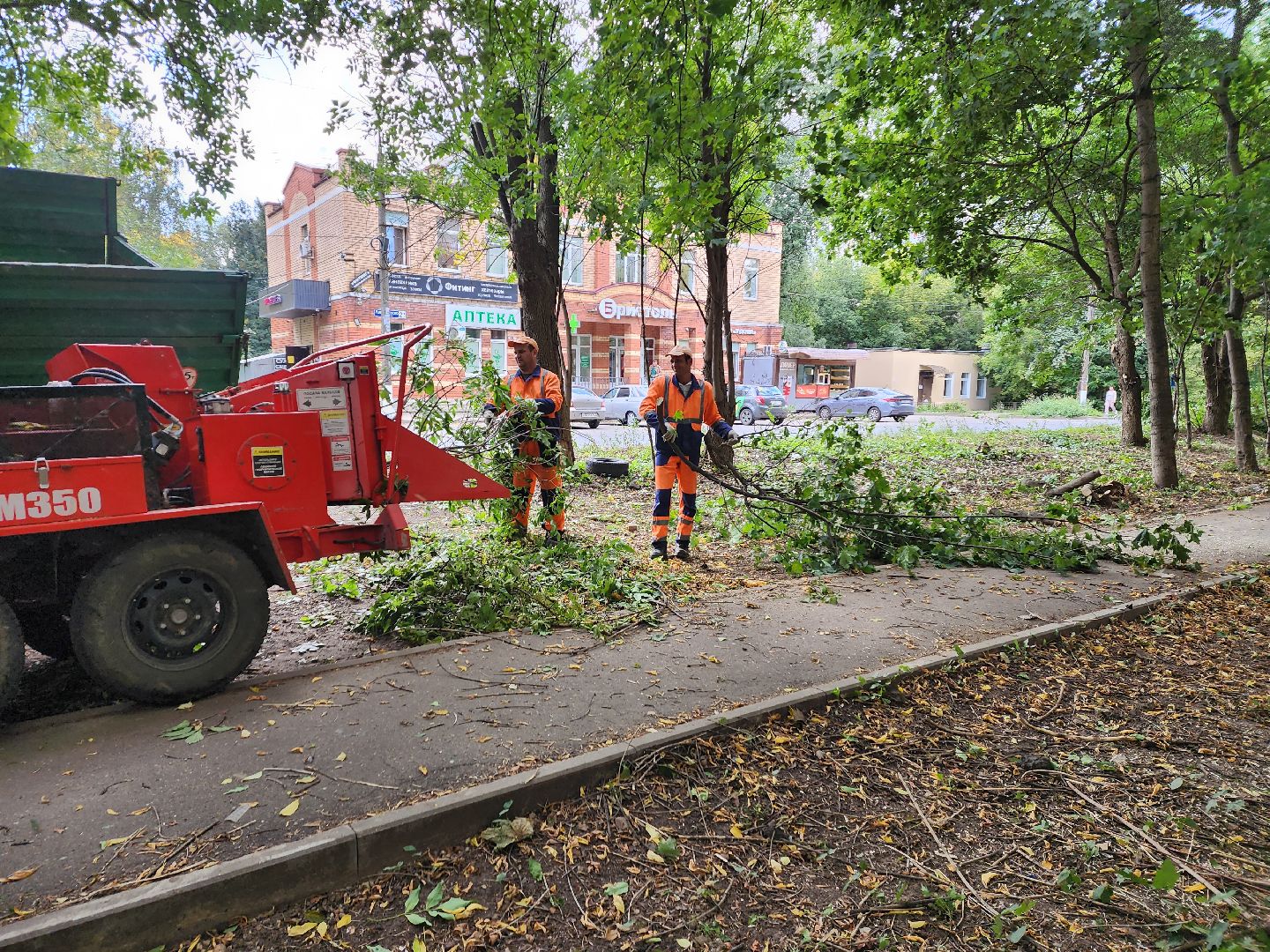 пушкино, благоуйстройство, деревья,