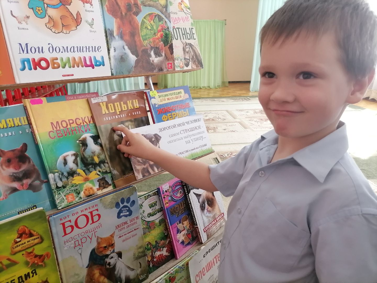 помощьбездомнымживотным