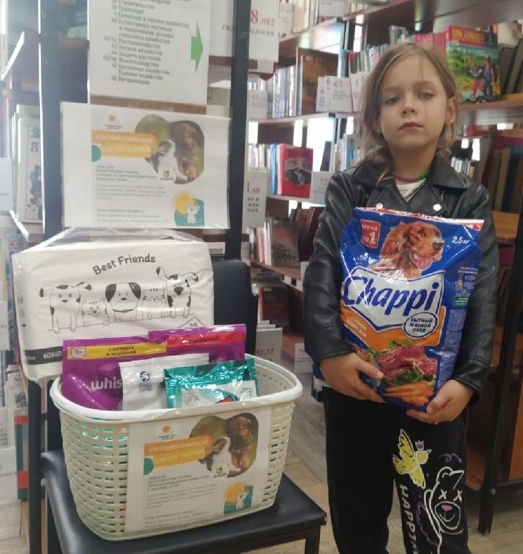 помощьбездомнымживотным