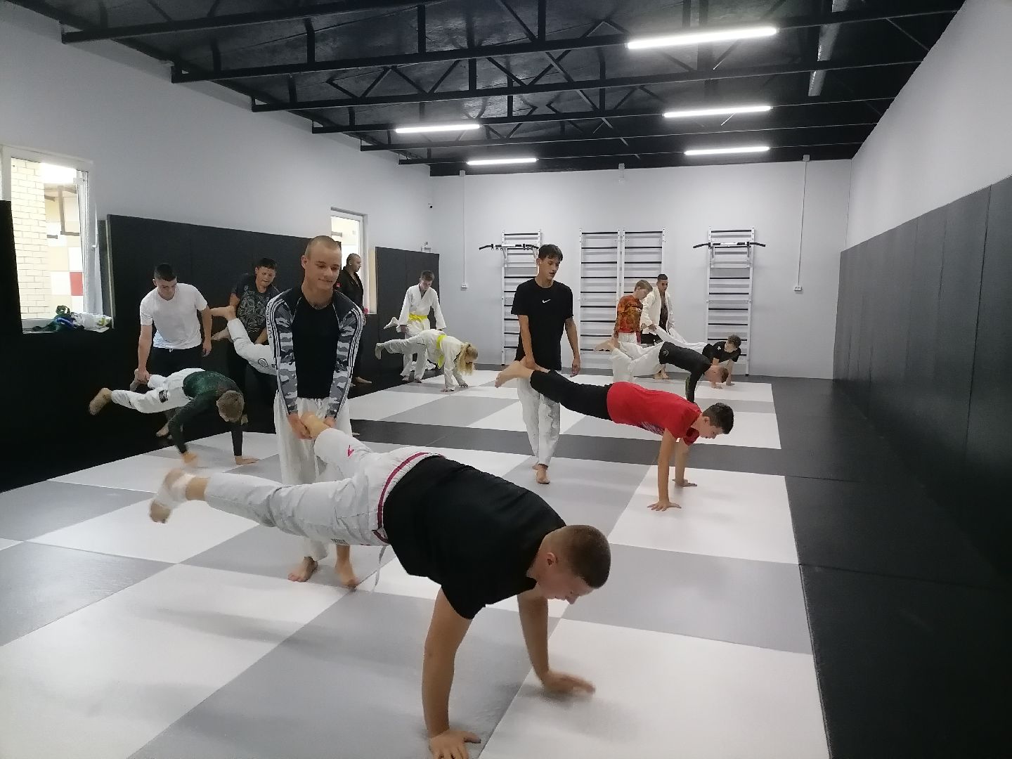 чемпионымира