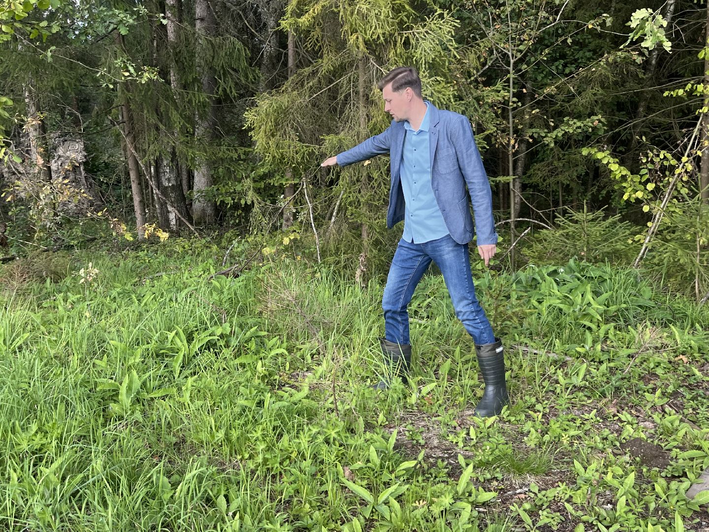 Наро-Фоминск, Наш лес, посади дерево, экология, экологическая акция,