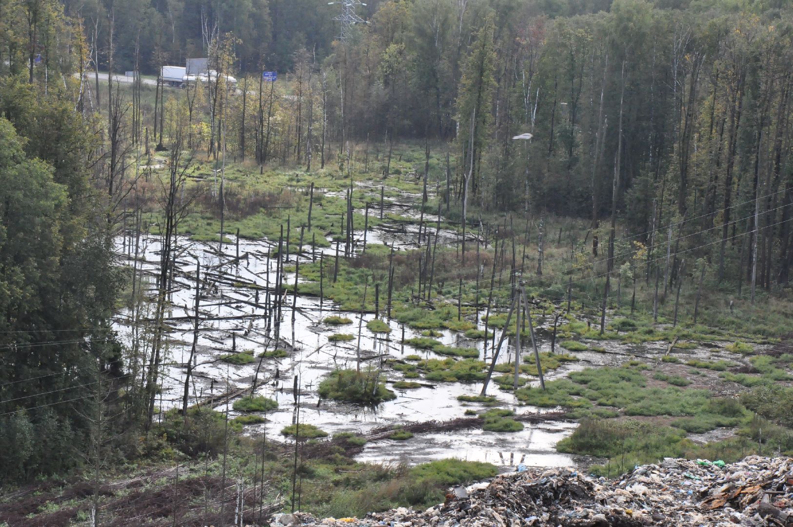 экология, полигон тбо съяново-1, серпухов, депутат-эколог, рекультивация, фильтрат, деревья,