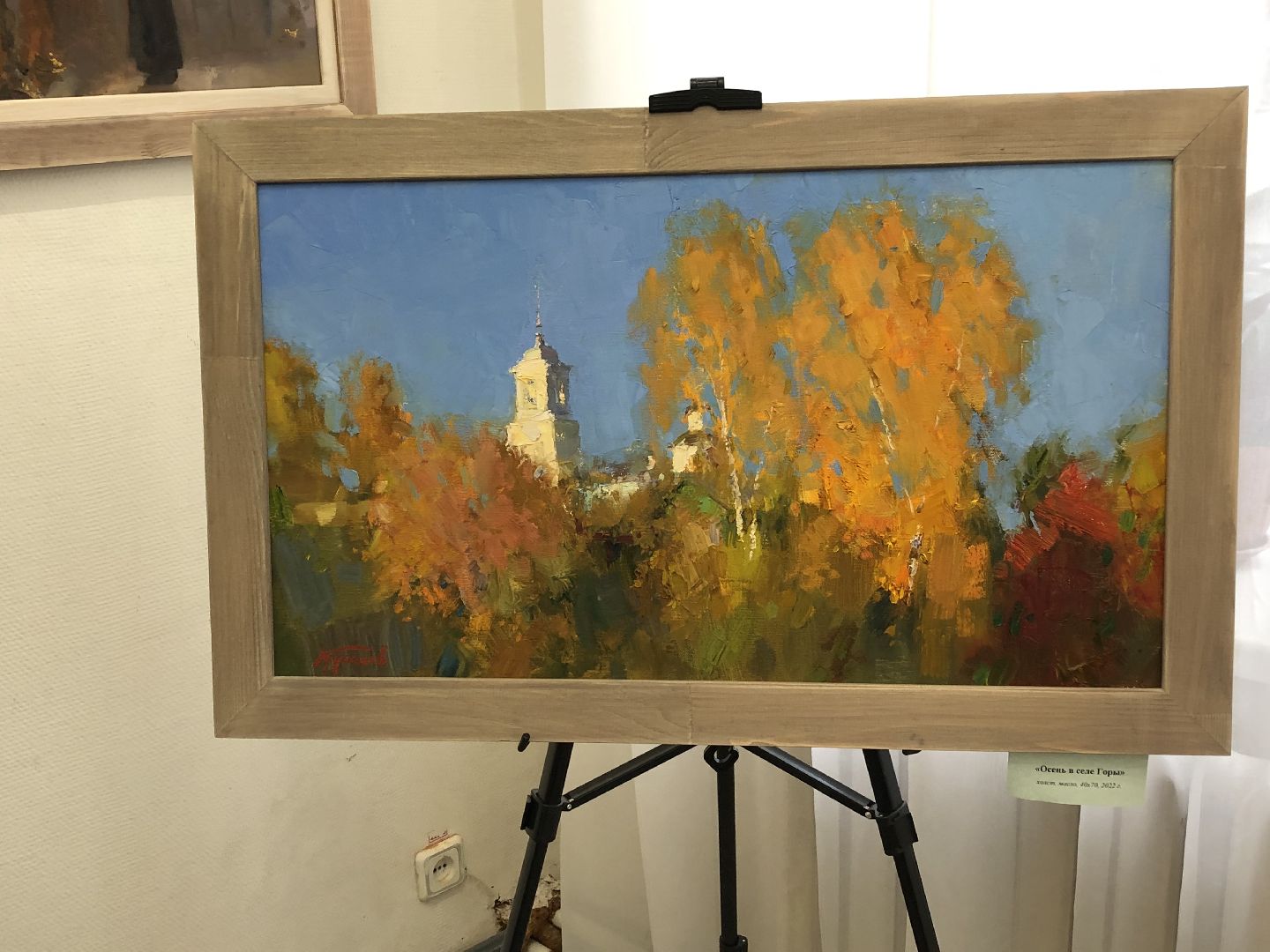 коломна, культура, выставка