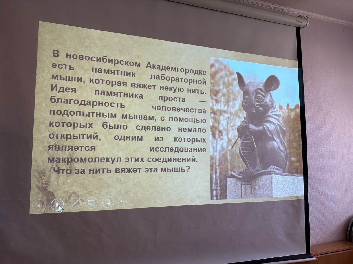 Интеллектуальный турнир долголетов, эрудиты Подмосковья, Наро-Фоминск