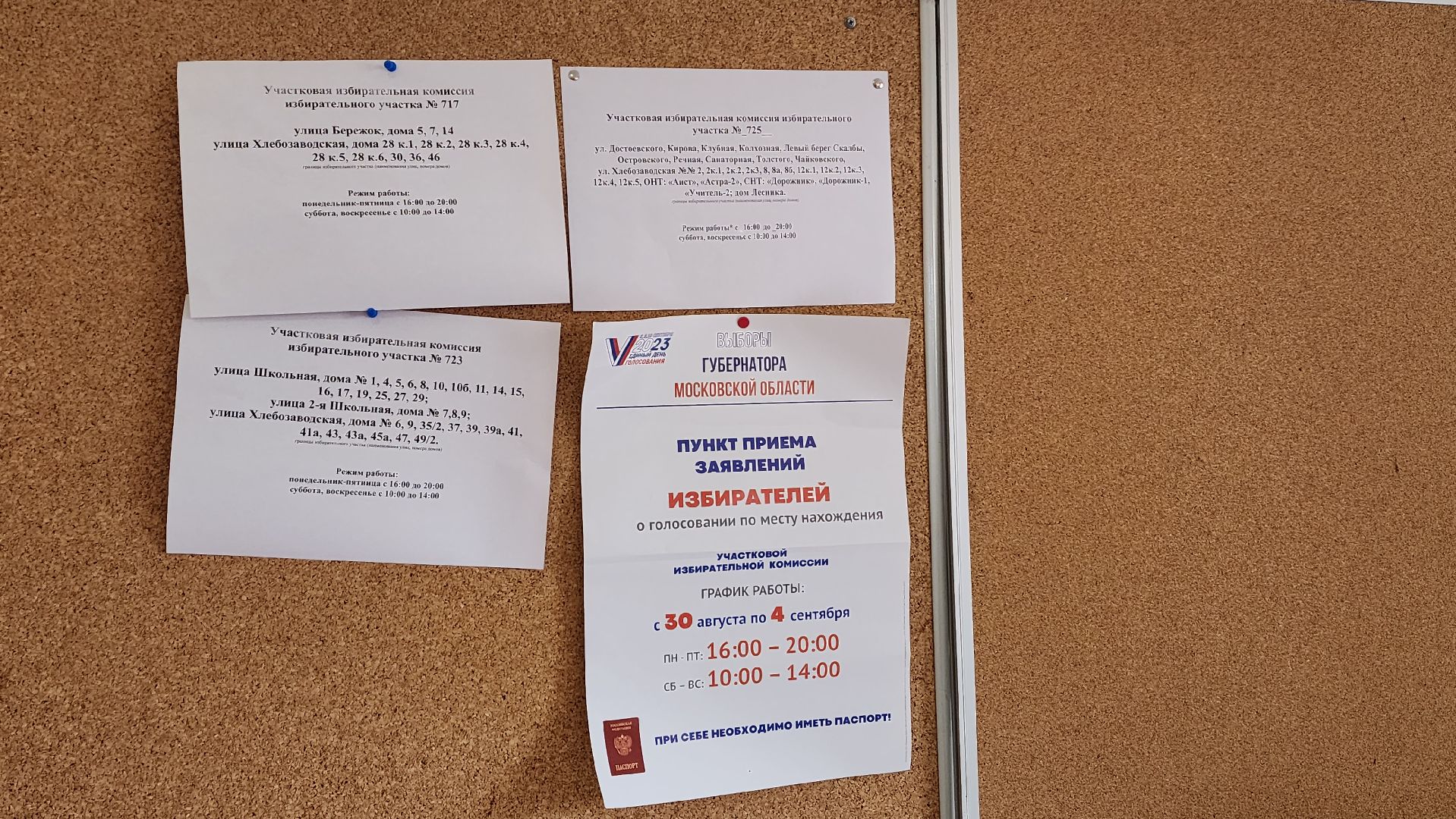 Прдмосковье, Ивантеевка, общество