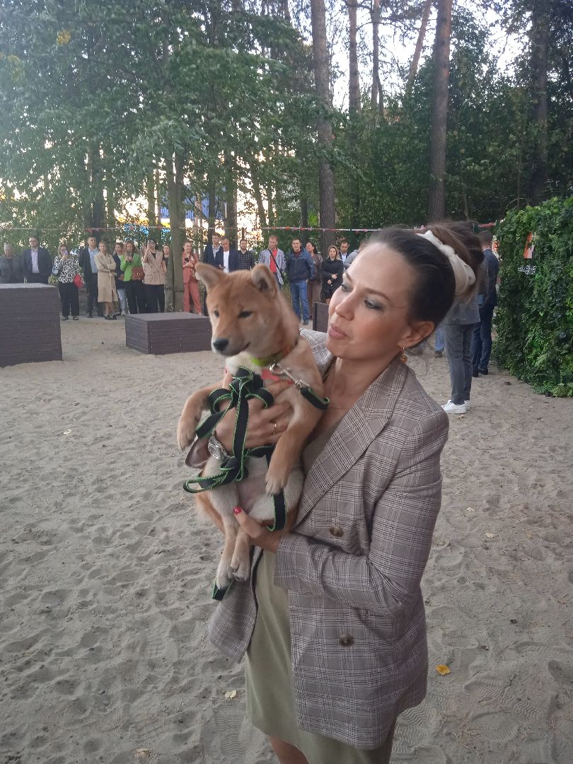 собачья, площадка, Четыре, лапы, социально-ответственный, бизнес, Цыпин, Аубакиров, Грибанов