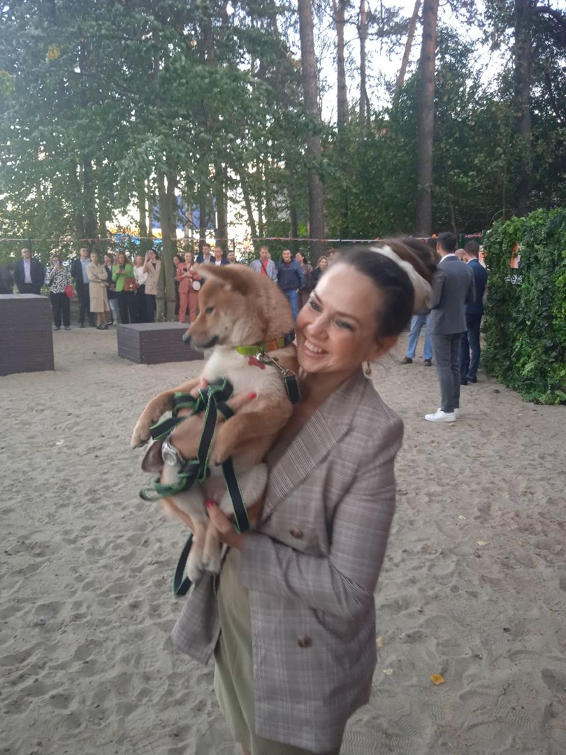 собачья, площадка, Четыре, лапы, социально-ответственный, бизнес, Цыпин, Аубакиров, Грибанов