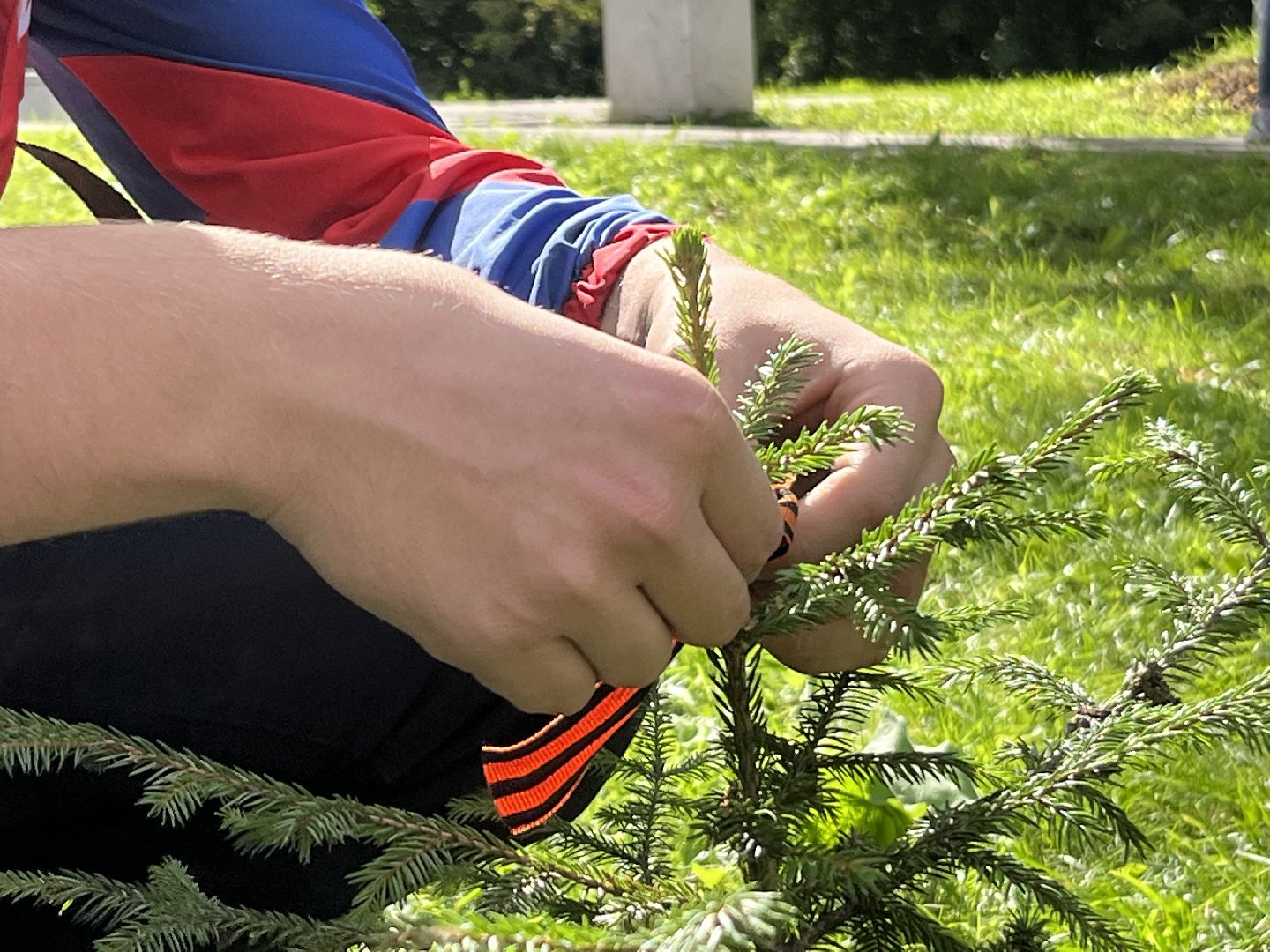 Наро-Фоминск, аллея памяти, рубеж обороны, посади дерево, волонтёры Подмосковья