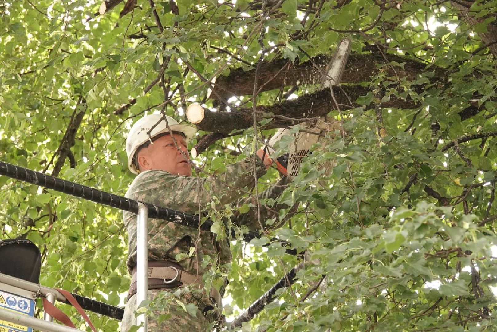 Сергиев Посад, Сергиево-Посадский городской округ, Опиловка, Коммунальщики, Экология, По просьбам жителей