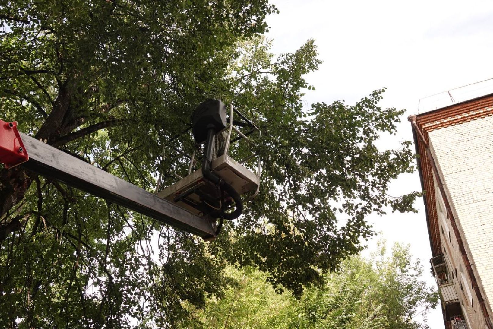 Сергиев Посад, Сергиево-Посадский городской округ, Опиловка, Коммунальщики, Экология, По просьбам жителей
