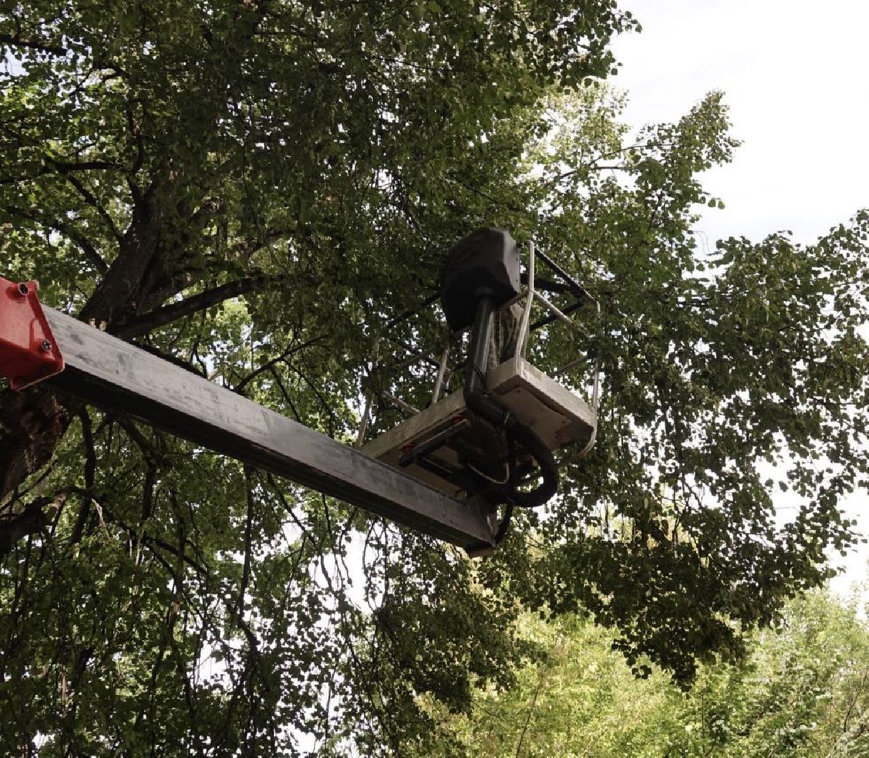 Сергиев Посад, Сергиево-Посадский городской округ, Опиловка, Коммунальщики, Экология, По просьбам жителей