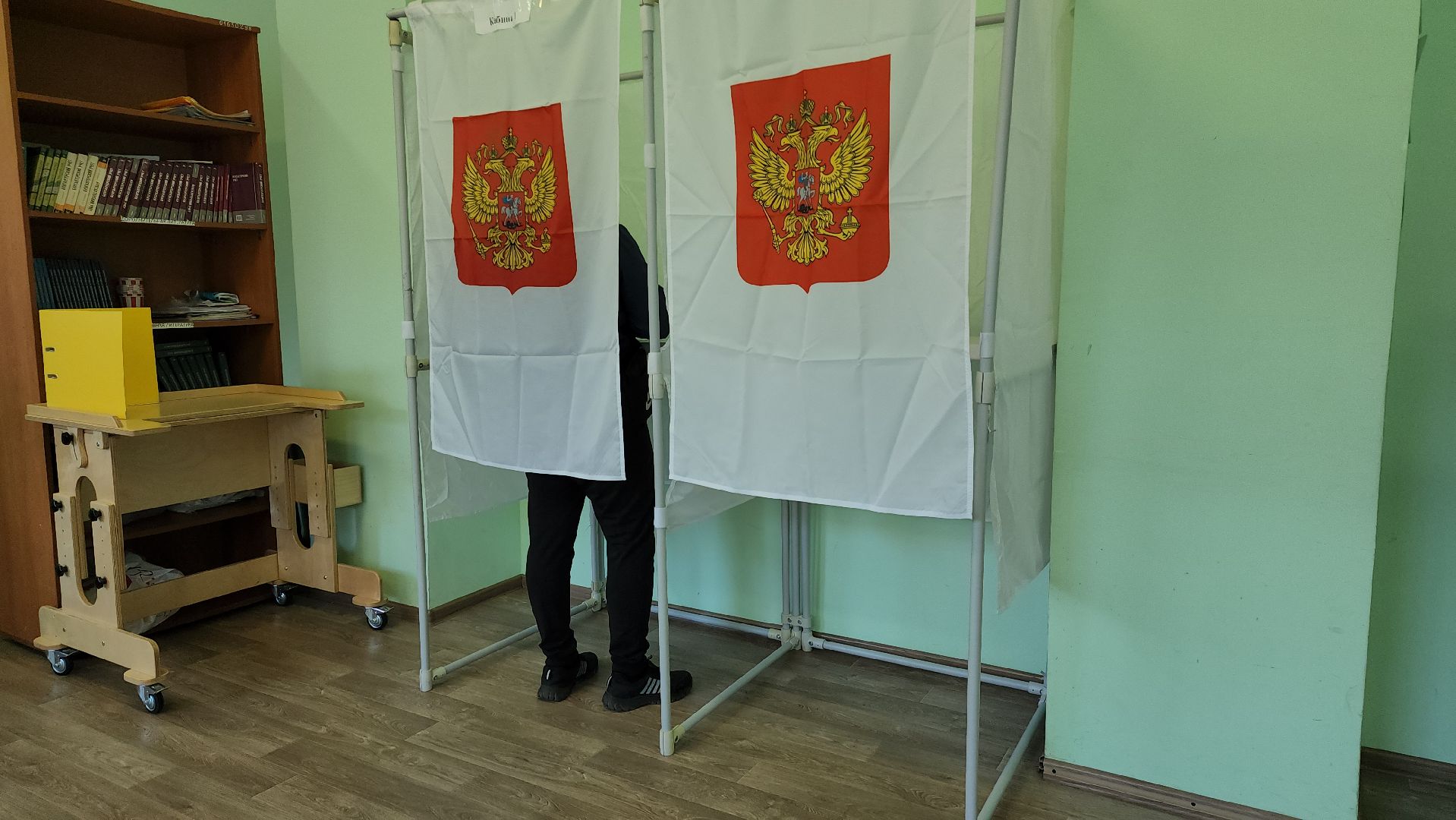 Пушкино, выборы, едг2023, Пушкинский округ