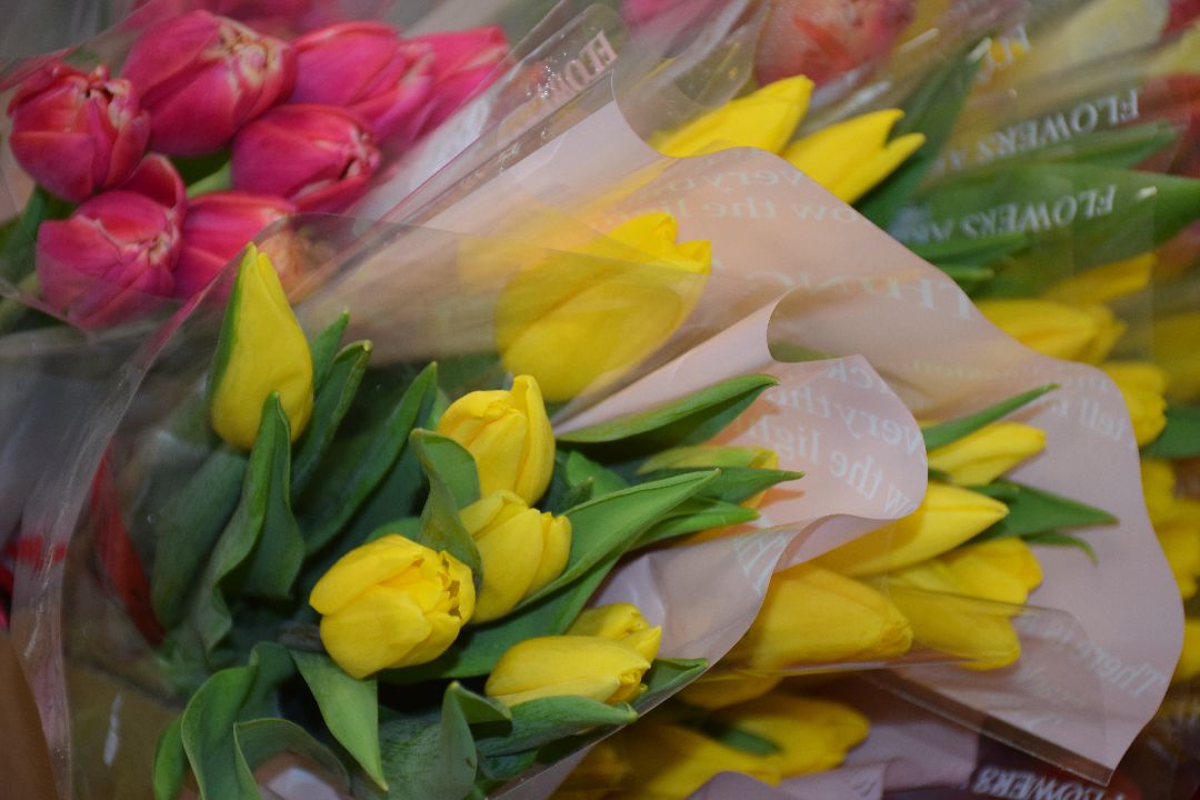 Павловский Посад, волонтеры, Молодая Гвардия, Добро в действии, Великая Отечественная война, Теренино, Павловский Посад, пенсионер