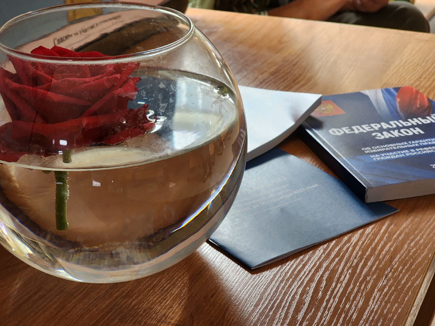 Кашира, ПодмосковьеВыбирает2023, ЕДГ2023