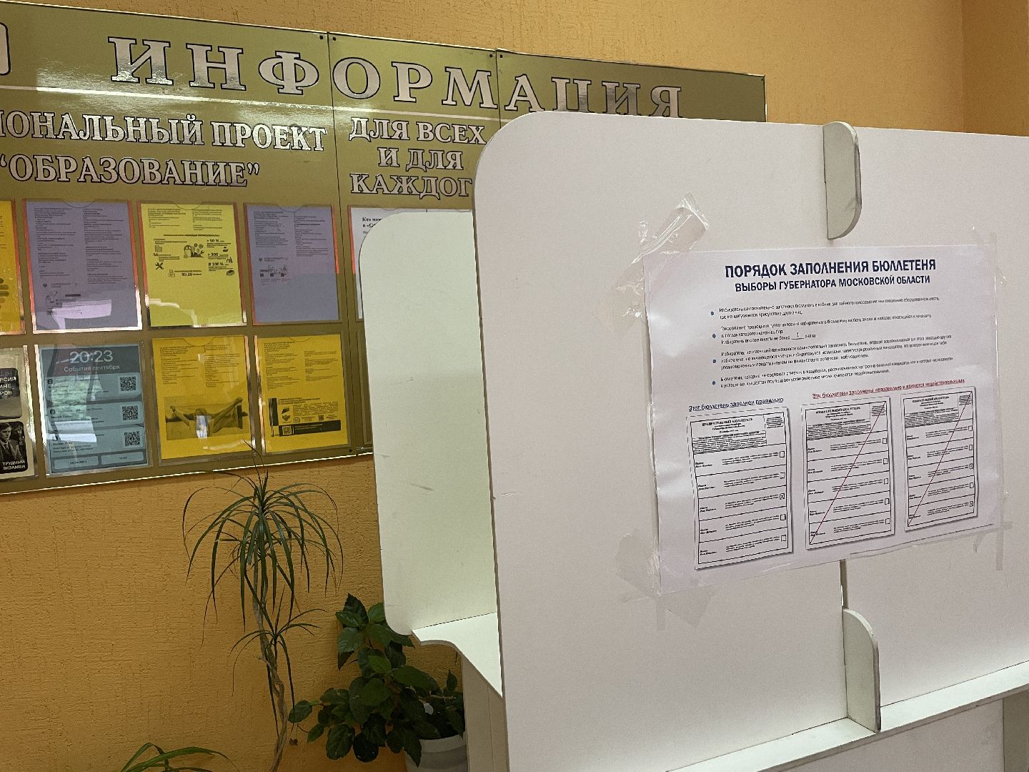 Голос, выборы, глава, люберцы