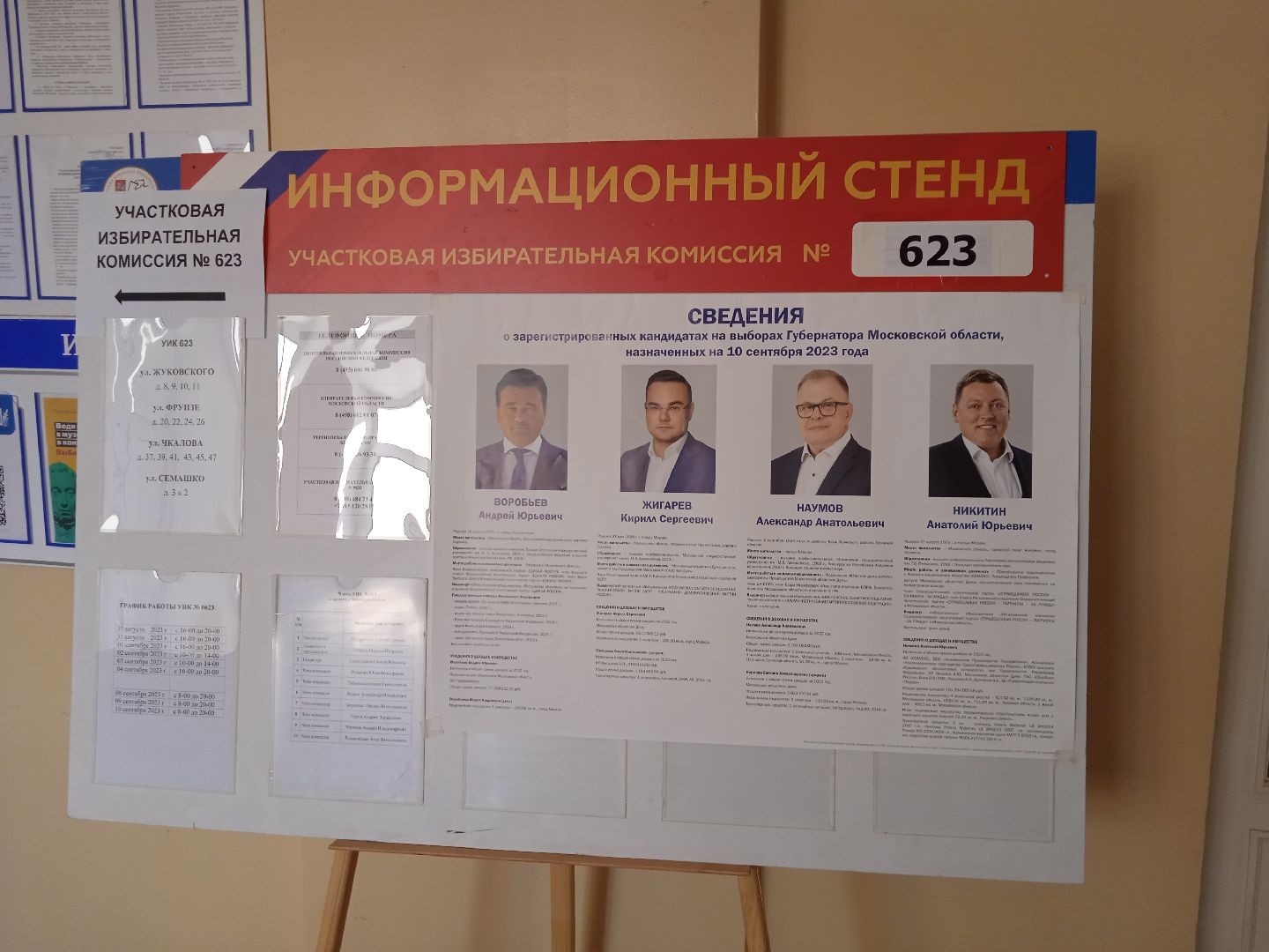 выборы, губернатора, 2023, голосование, Прохоров