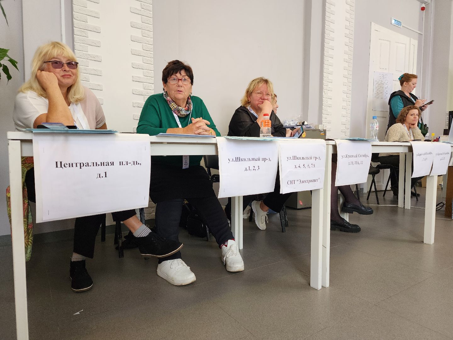 Дедовск, выборы, голосование