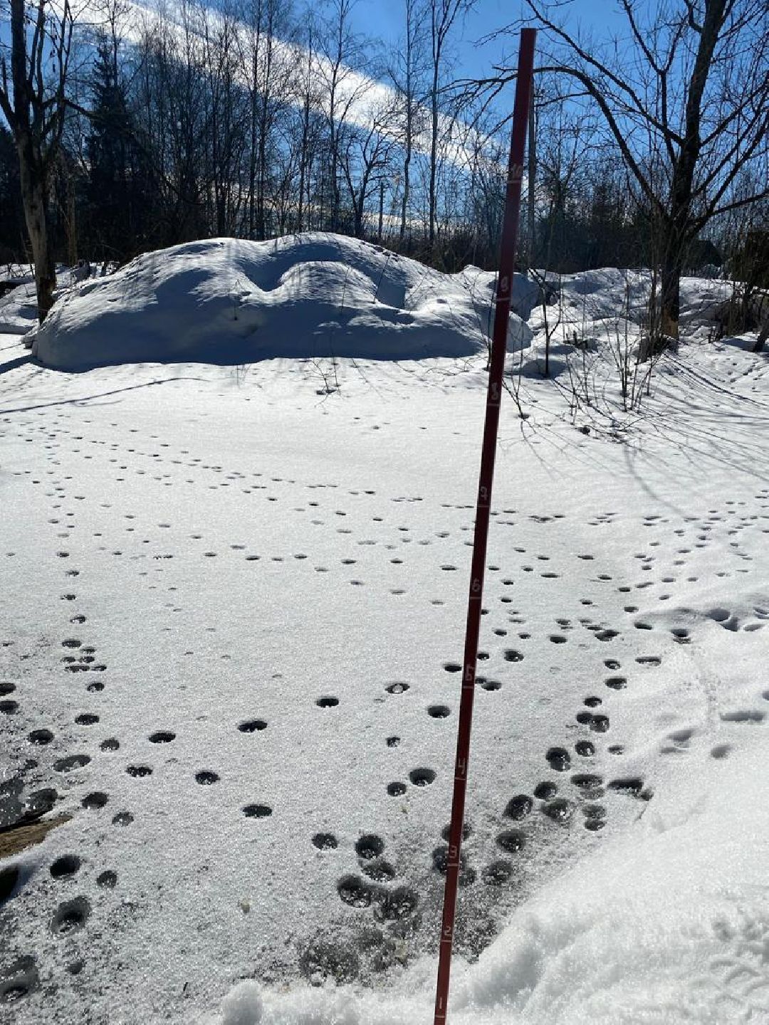 Половодье, вешки, паводок