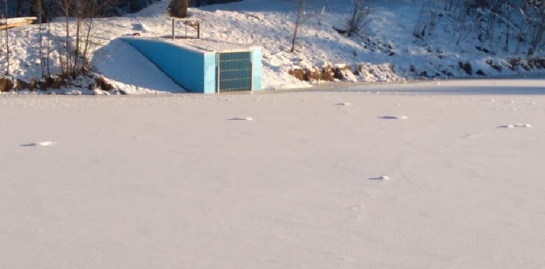 Половодье, вешки, паводок