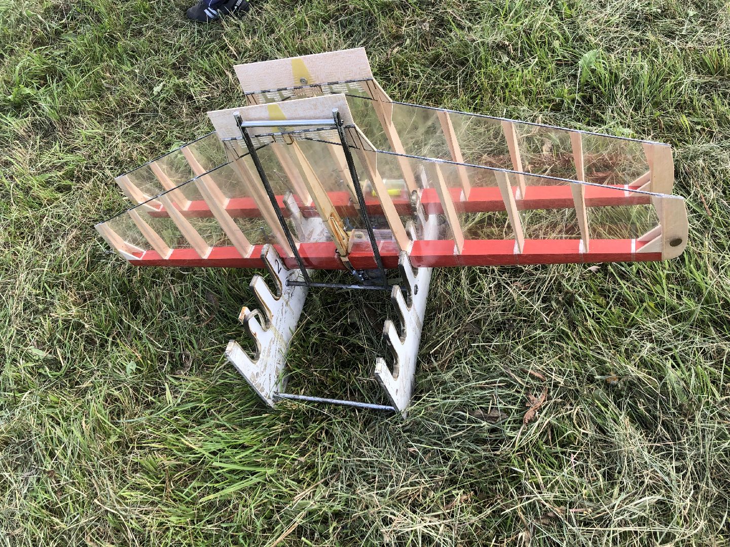 Химки, спорт, подмосковье,