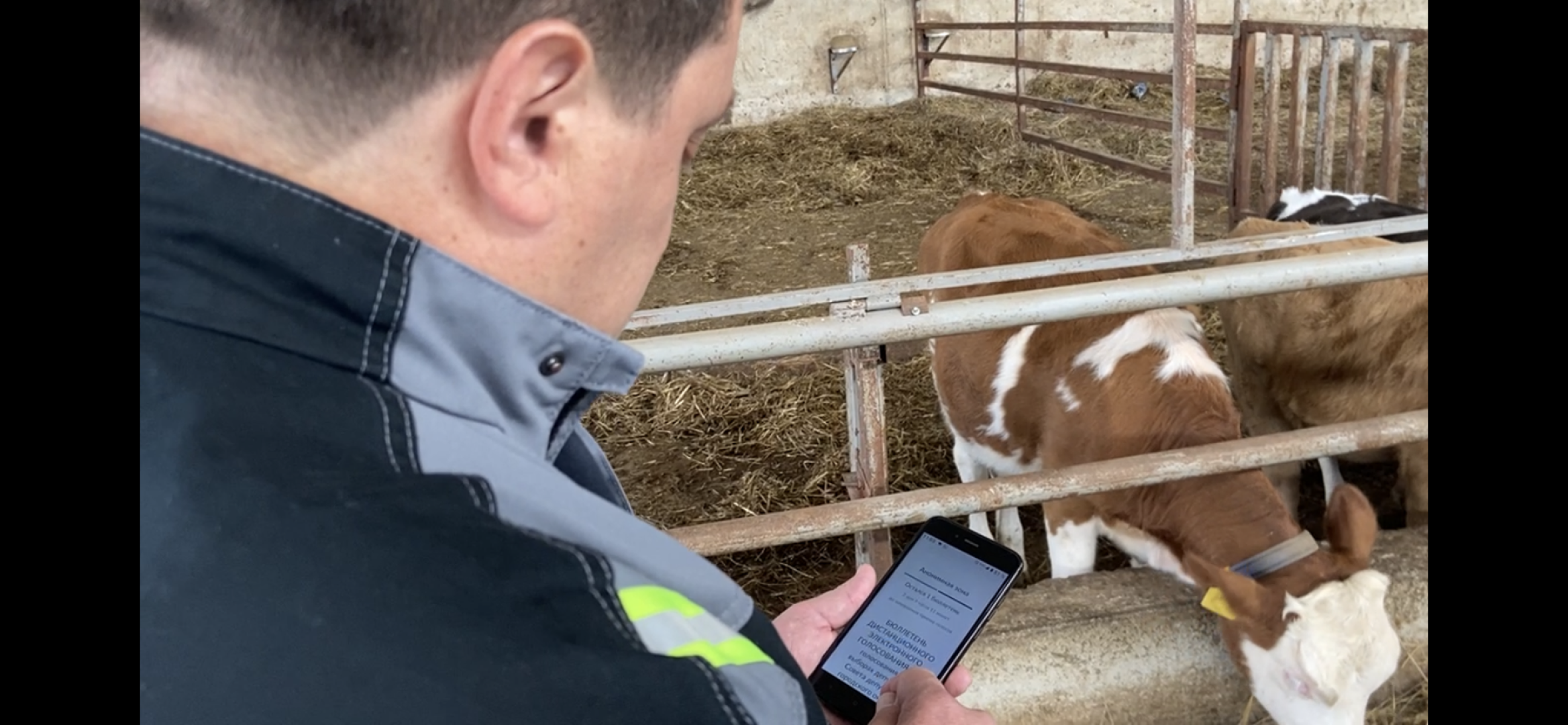 выборы 2023, выборы губернатора, дистанционное голосование,