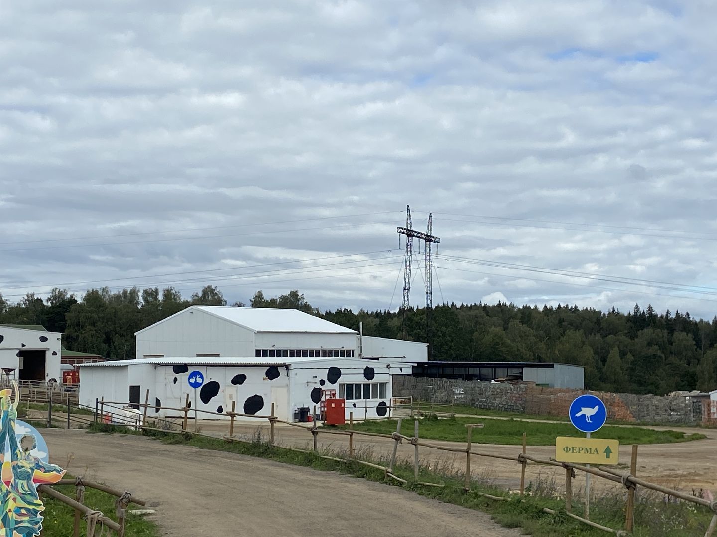 выборы 2023, выборы губернатора, дистанционное голосование,