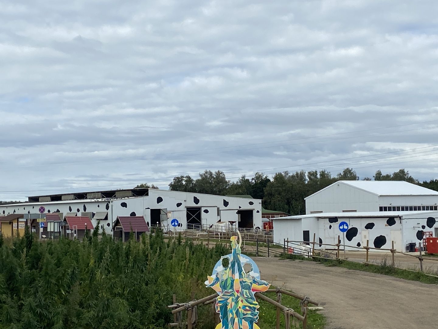 выборы 2023, выборы губернатора, дистанционное голосование,