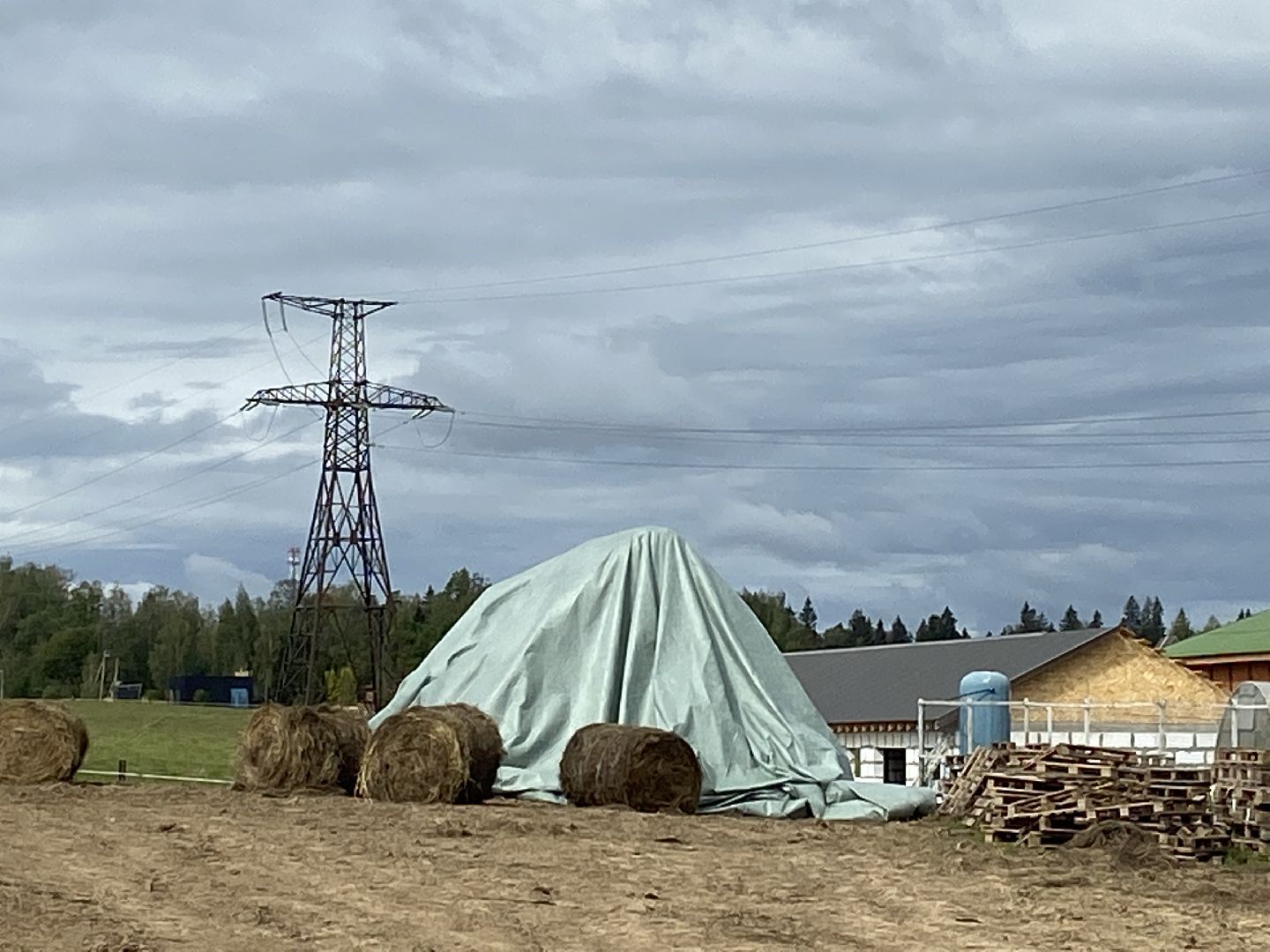 выборы 2023, выборы губернатора, дистанционное голосование,