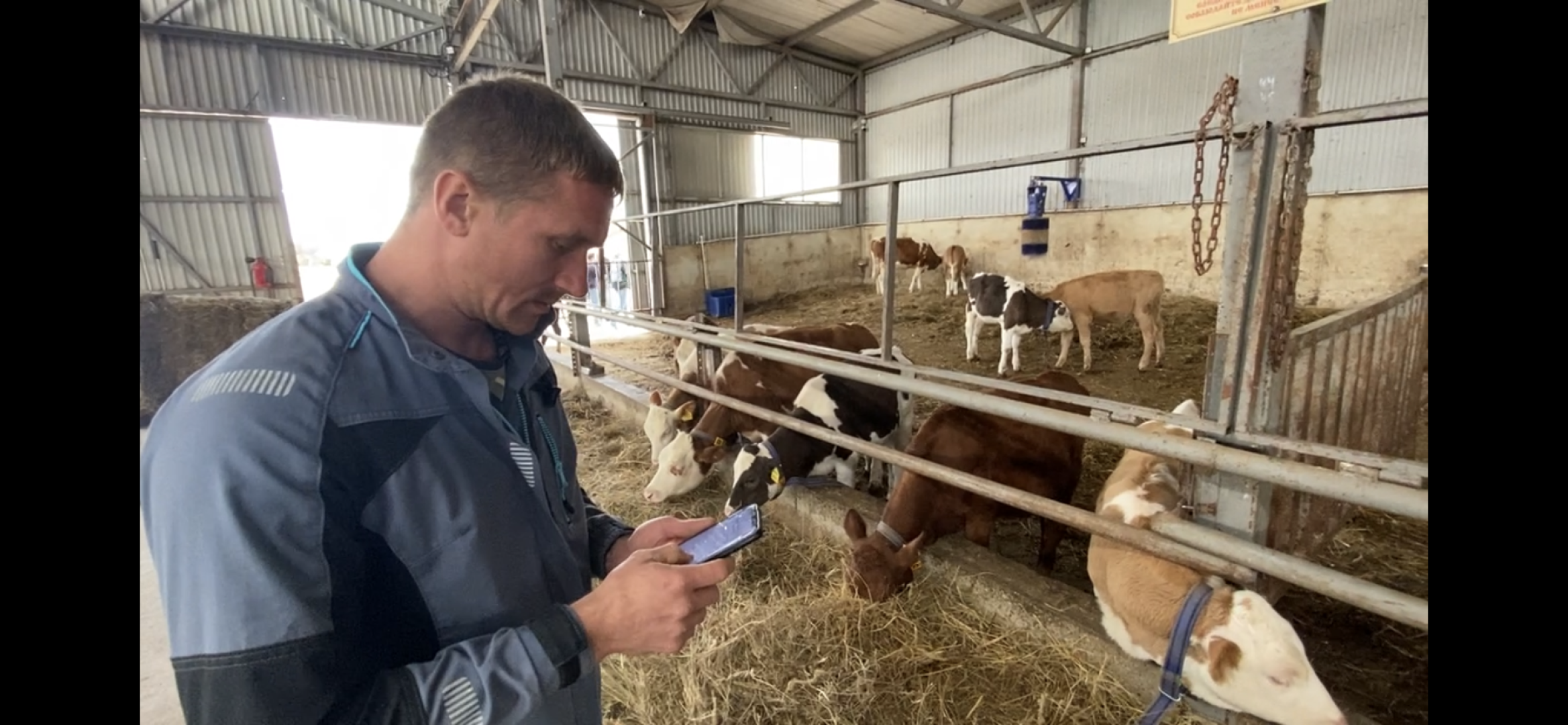 выборы 2023, выборы губернатора, дистанционное голосование,