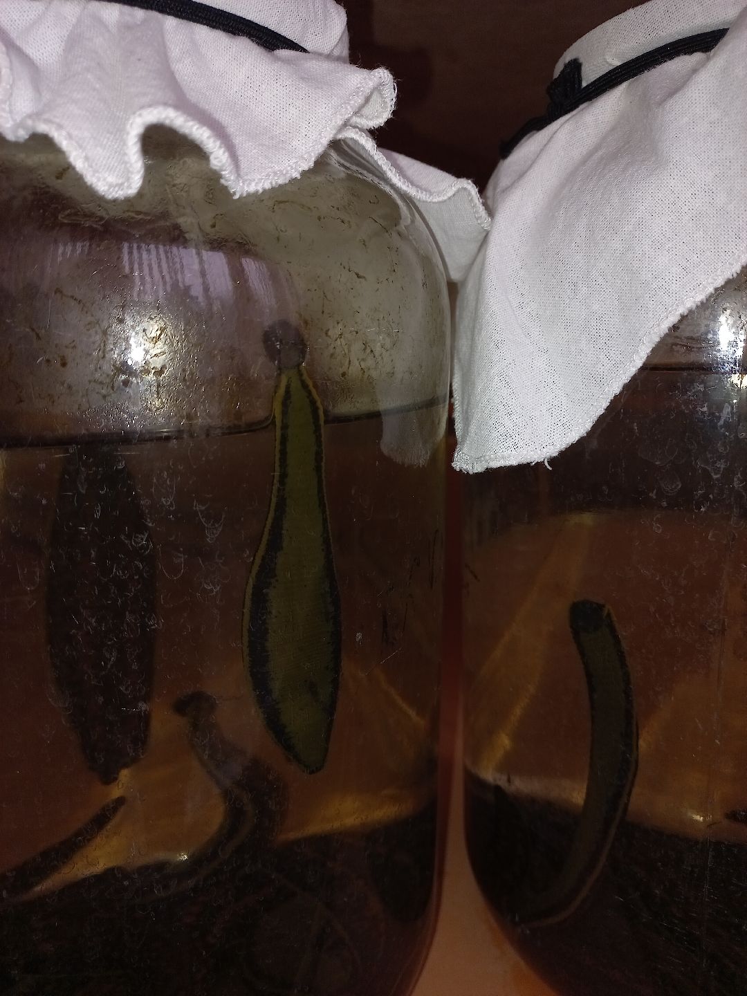 пиявки, кровь, Международный центр медицинской пиявки, медицина, особь