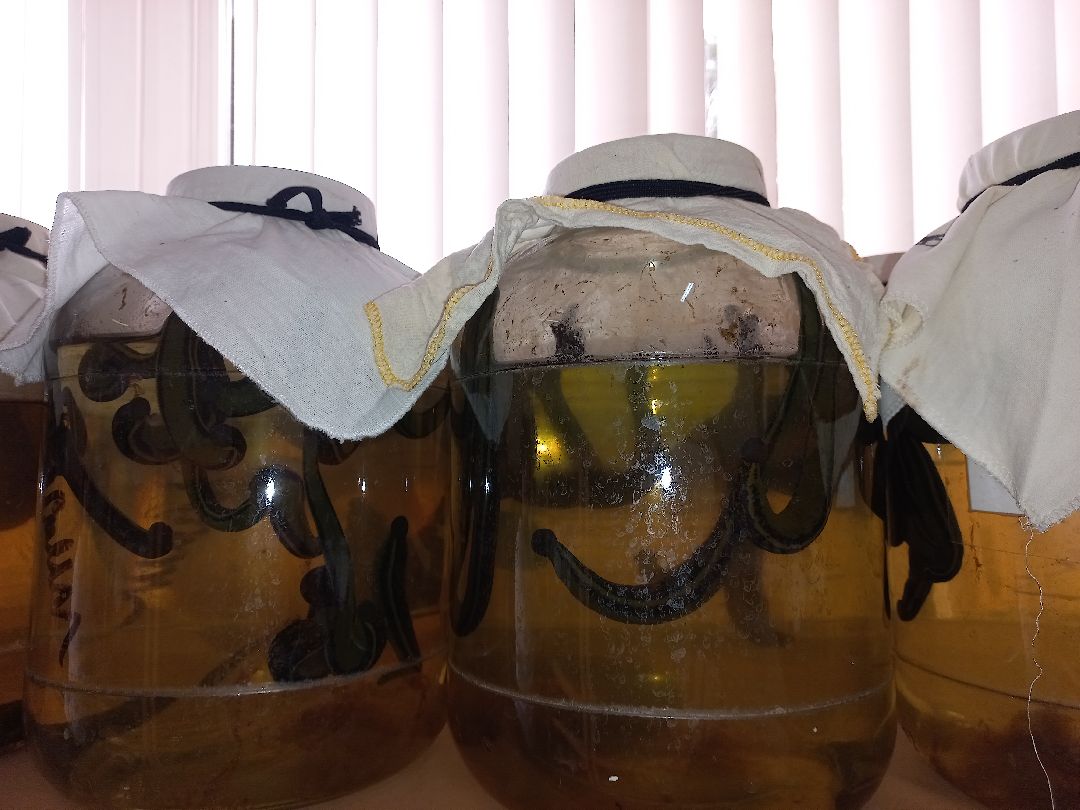 пиявки, кровь, Международный центр медицинской пиявки, медицина, особь