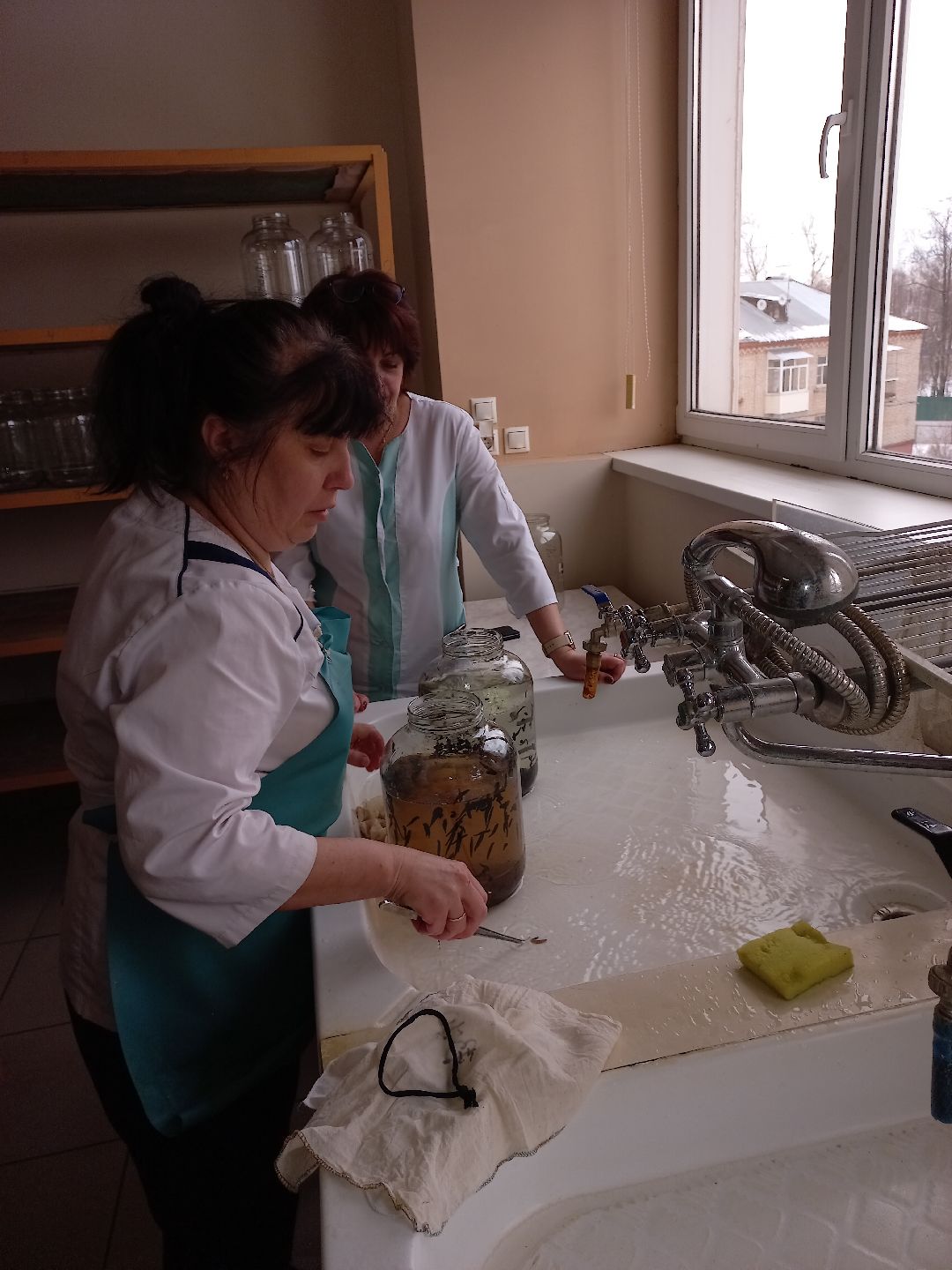 пиявки, кровь, Международный центр медицинской пиявки, медицина, особь