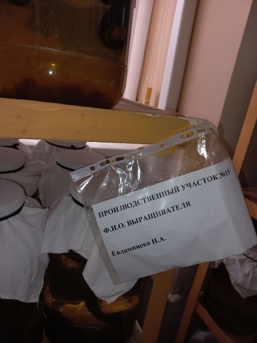 пиявки, кровь, Международный центр медицинской пиявки, медицина, особь