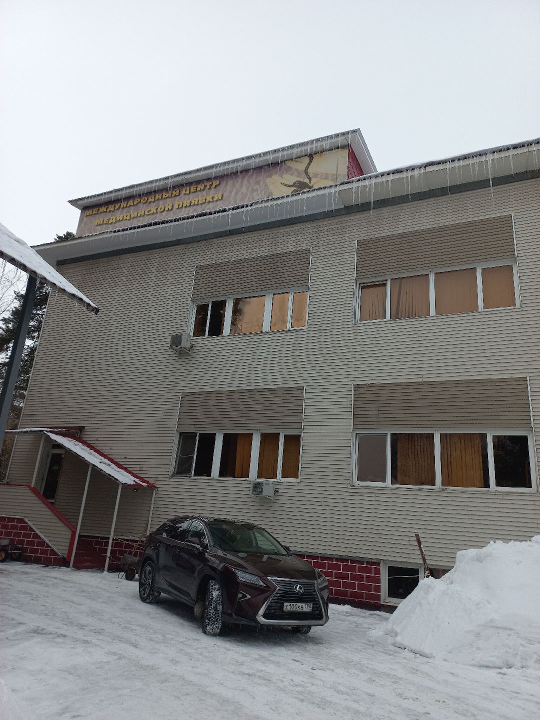 пиявки, кровь, Международный центр медицинской пиявки, медицина, особь