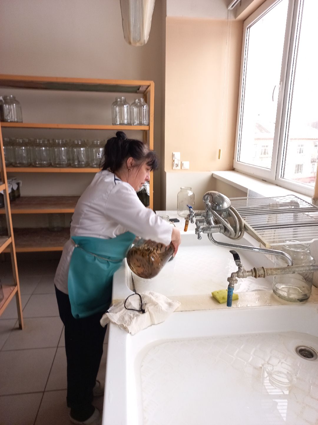 пиявки, кровь, Международный центр медицинской пиявки, медицина, особь