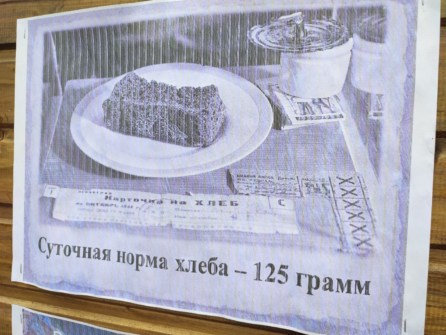 #блокадаленинграда, #акция, #талдом, #паркпобеды, #юнармия