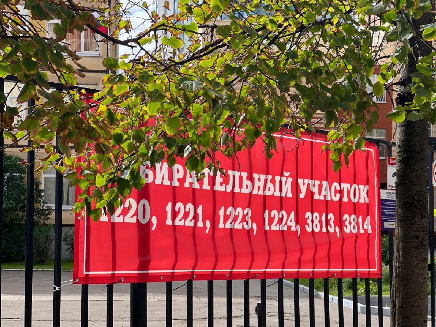 выборы 2023, выборы губернатора, выборы 2023, выборы электронное голосование,