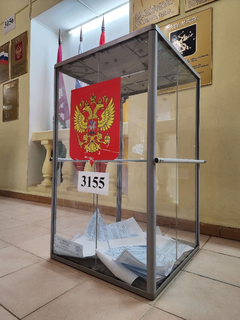 Химки, выборы, Роднина, голосование, музыка