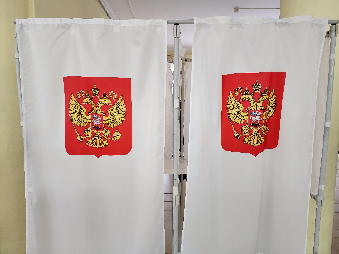 Химки, выборы, Роднина, голосование, музыка