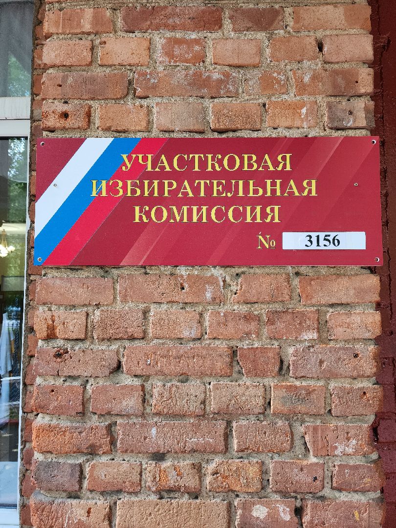 Химки, выборы, Роднина, голосование, музыка