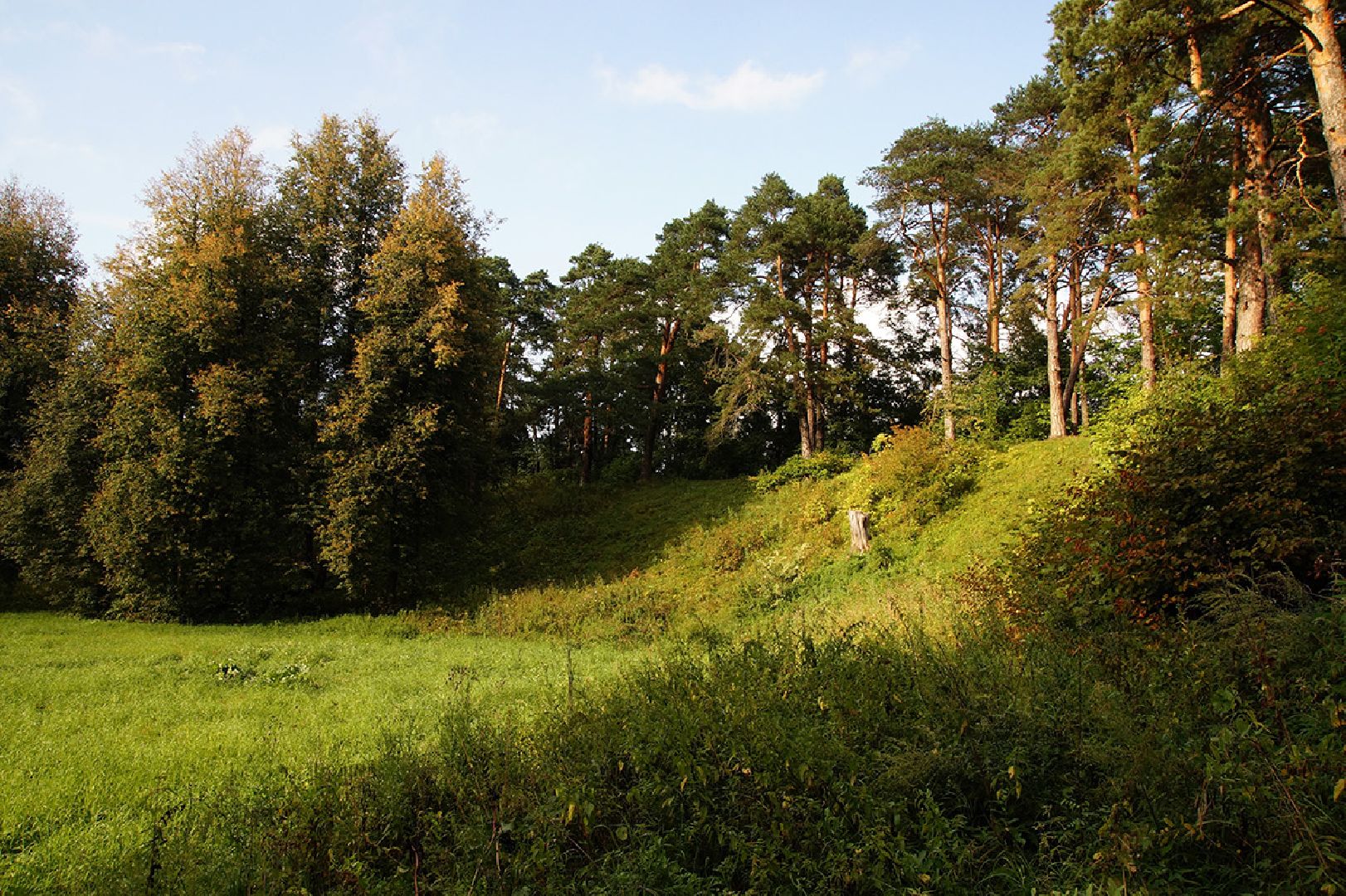 Звенигород в кадре, культура, снимаем кино, молодежное кино