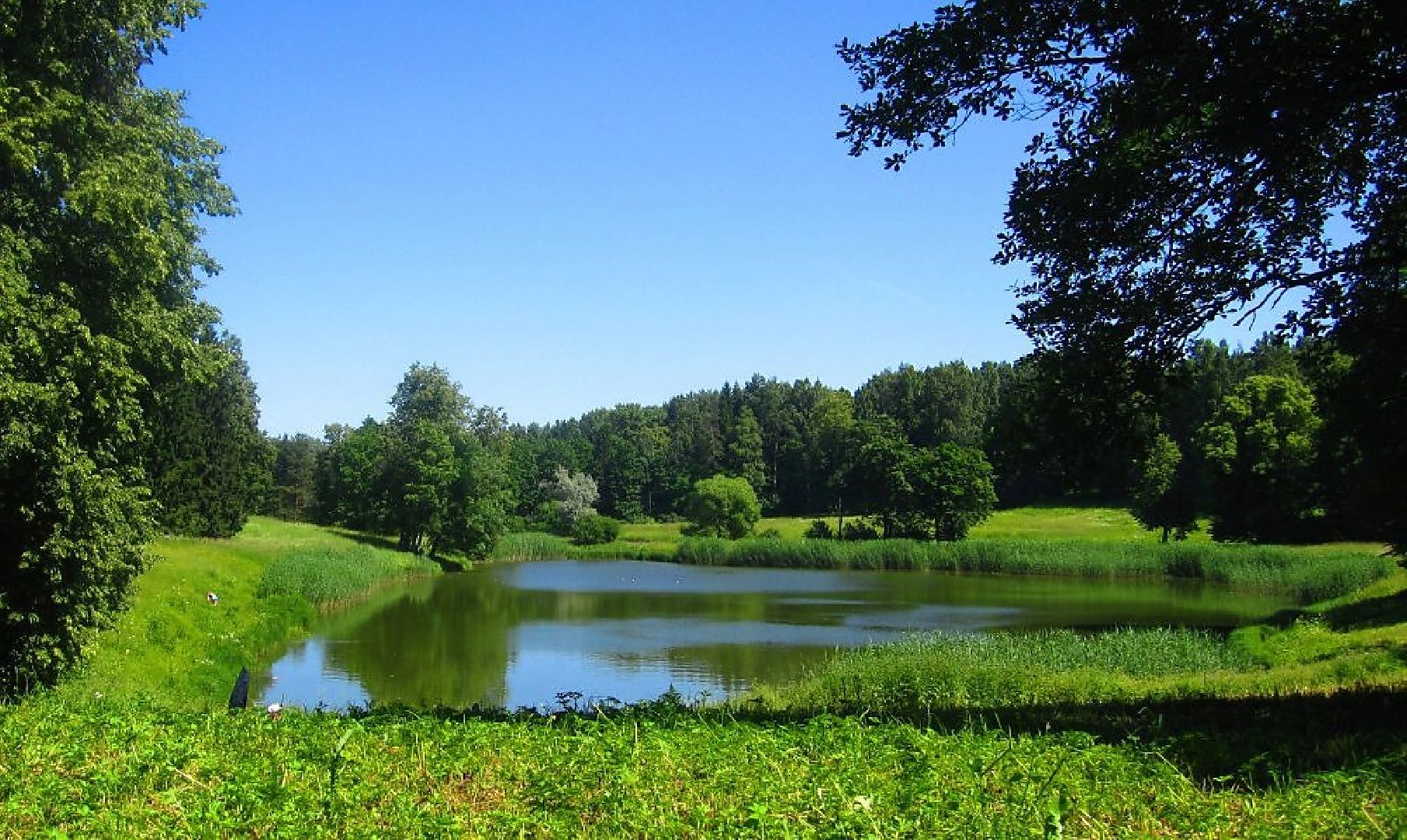 Звенигород в кадре, культура, снимаем кино, молодежное кино