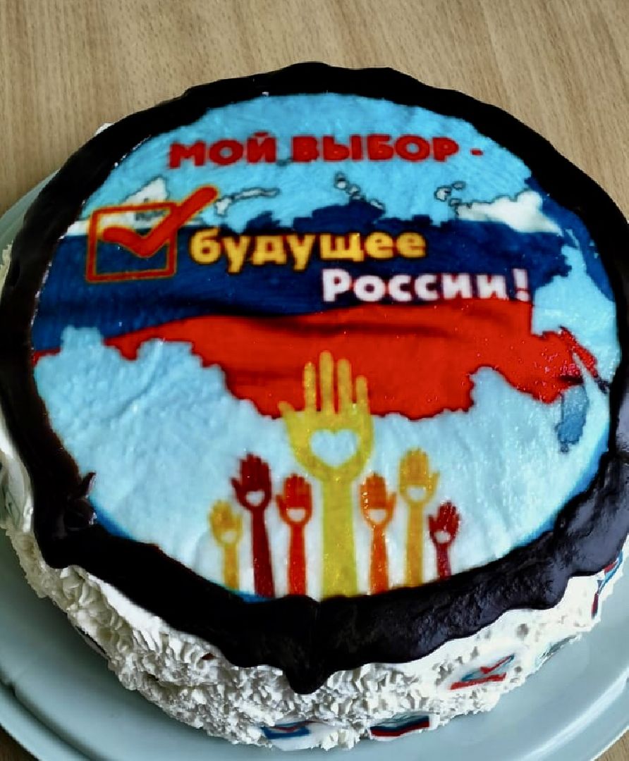 Наро-Фоминск, торт от избиркома, Подмосковье выбирает, выборы 2023