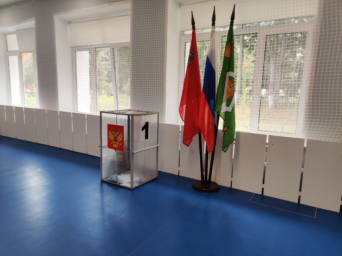 Красноармейск, Пушкинский, доброволец, подмосковье выбирает 2023, едг 2023